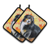 Caroline'S Treasures Bernese Mountain Dog Decorated Pot Holder, 7.5H X 7.5W, Fall Leaves