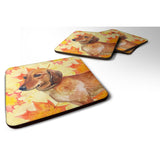 Caroline'S Treasures Dachshund Fall Decorative Coasters, Multicolor