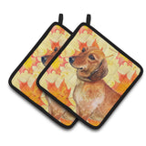 Caroline'S Treasures Dachshund Decorated Pot Holder, 7.5H X 7.5W, Fall Leaves