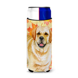 Caroline'S Treasures Golden Retriever Fall Decorative Can Hugger, Slim, Multicolor
