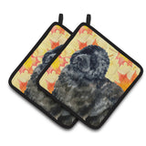 Caroline'S Treasures Newfoundland Decorated Pot Holder, 7.5H X 7.5W, Fall Leaves