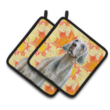 Caroline'S Treasures Weimaraner Decorated Pot Holder, 7.5H X 7.5W, Fall Leaves