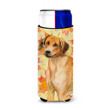 Caroline'S Treasures Rhodesian Ridgeback Fall Decorative Can Hugger, Slim, Multicolor