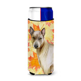 Caroline'S Treasures Thai Ridgeback Fall Decorative Can Hugger, Slim, Multicolor