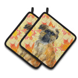 Caroline'S Treasures Brussels Griffon Decorated Pot Holder, 7.5H X 7.5W, Fall Leaves