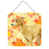 Caroline'S Treasures Italian Greyhound Metal Print, 6H X 6W, Fall Leaves