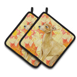 Caroline'S Treasures Italian Greyhound Decorated Pot Holder, 7.5H X 7.5W, Fall Leaves