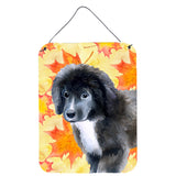 Caroline'S Treasures Newfoundland Puppy Fall Metal Print, 16 X 12, Multicolor