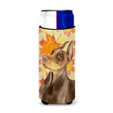 Caroline'S Treasures Doberman Pinscher Fall Decorative Can Hugger, Slim, Multicolor
