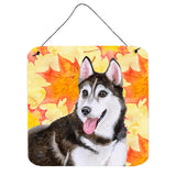 Caroline'S Treasures Siberian Husky #2 Metal Print, 6H X 6W, Fall Leaves