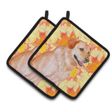 Caroline'S Treasures Labrador Retriever Decorated Pot Holder, 7.5H X 7.5W, Fall Leaves