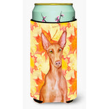 Caroline'S Treasures Pharaoh Hound Fall Decorative Can Hugger, Tall Boy, Multicolor