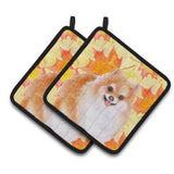 Caroline'S Treasures Pomeranian #2 Decorated Pot Holder, 7.5H X 7.5W, Fall Leaves