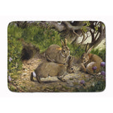 Caroline'S Treasures Rabbit Hole Floor Mat, 19 X 27, Multicolor