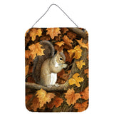 Caroline'S Treasures Autumn Grey Squirrel By Daphne Baxter Wall Or Door Hanging Prints Bdba0388Ds1216, 16H X 12W, Mult