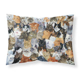 Caroline'S Treasures Cats Galore Fabric Standard Pillowcase Bdba0414Pillowcase, Multicolor