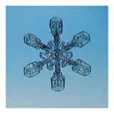 Snowflake Seen Through Microscope-Paper Art-20X20