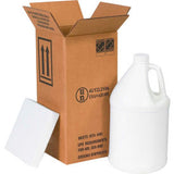 Global Industrial™ One 1 Gal. Plastic Jug Haz Mat Shipper Kit 6L X 6W X 12-3/4H