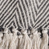 Dii Mineral Urban Chevron Throw