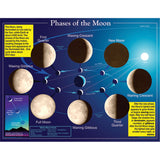 Phases of the Moon Chart