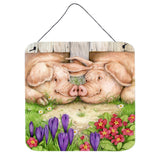 Caroline'S Treasures Pigs Nose By Debbie Cook Wall Or Door Hanging Prints Cdco0350Ds66, 6Hx6W, Multicolor