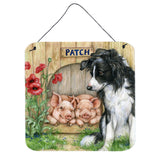 Caroline'S Treasures Patch The Border Collie And Piglet Friends Wall Or Door Hanging Prints Cdco0362Ds66, 6Hx6W, Multicolor