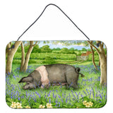 Caroline'S Treasures Pig In Bluebells By Debbie Cook Wall Or Door Hanging Prints Cdco0377Ds812, 8H X 12W