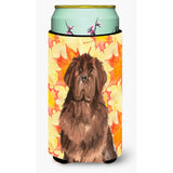 Caroline'S Treasures Ck1832Tbc Fall Leaves Newfoundland Tall Boy Hugger Cold-Beverage-Koozies, Multicolor