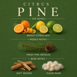 Citrus Pine Signature Candle