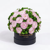 Classic Black Box | Light Pink Persian Buttercups & Green Hydrangeas