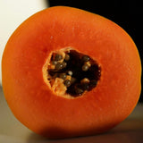 Spicy Papaya + Clove Soap