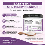 Lavender Body Scrub / Dead Sea Salt / Premium Blend #17