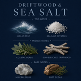 Driftwood & Sea Salt Body Lotion – Hydrating Moisturizer (10 OZ)