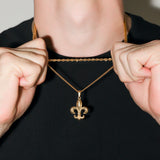 Fleur De Lis Set