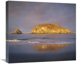 Island, Harris Beach State Park, Oregon-Canvas Art-22X19.58