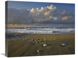 Beach And Waves, Corcovado National Park, Costa Rica-Canvas Art-24X20