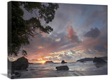 Beach And Coastline, Manuel Antonio National Park, Costa Rica-Canvas Art-24X18