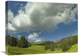 Stand Of Conifers In The Elk Mountains Near Crested Butte, Colorado-Canvas Art-24X18