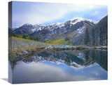 Pond And Mountains, Maroon Bells-Snowmass Wilderness Area, Colorado-Canvas Art-22X18.26