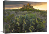 Opuntia And Hoodoos, Big Bend National Park, Chihuahuan Desert, Texas-Canvas Art-24X18
