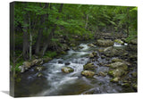 Little Stony Creek Flowing Through Jefferson National Forest, Virginia-Canvas Art-24X18