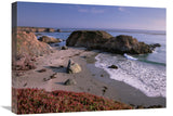 Beach Near San Simeon Creek With Ice Plant In The Foreground, Big Sur, California-Canvas Art-24X18
