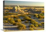 Coyote Bush And Eroded Features Bordering Grasslands, Badlands National Park, South Dakota-Canvas Art-24X18