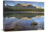 Bow Range And Boreal Forest Reflected In Herbert Lake, Banff National Park, Alberta, Canada-Canvas Art-24X18