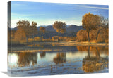 Cottonwood Trees And Willows, Fall Foliage, Bosque Del Apache National Wildlife Refuge, New Mexico-Canvas Art-24X18