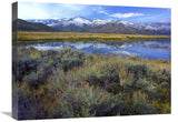 The Carson Range Reflected In Washoe Lake, Nevada-Canvas Art-24X18