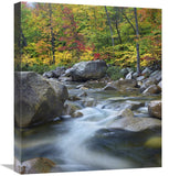 Swift River In Fall, White Mountains National Forest, New Hampshire-Canvas Art-18.7X22