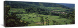 Rice Terraced Fields, China-Canvas Art-36X13.32