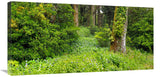 Sintra-Canvas Art-36X18