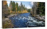 The Elk River-Canvas Art-44X28.6